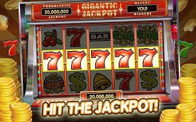 5567 bet
