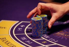 5567 bet